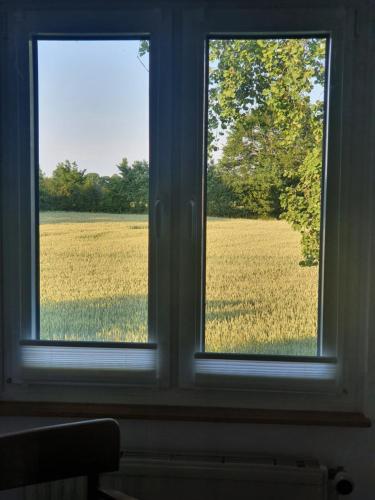 a window looking out at a field of grass at Schönes Haus in Tüttendorf