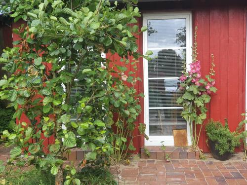 a red house with a bunch of flowers in front of a window at Schönes Haus in Tüttendorf