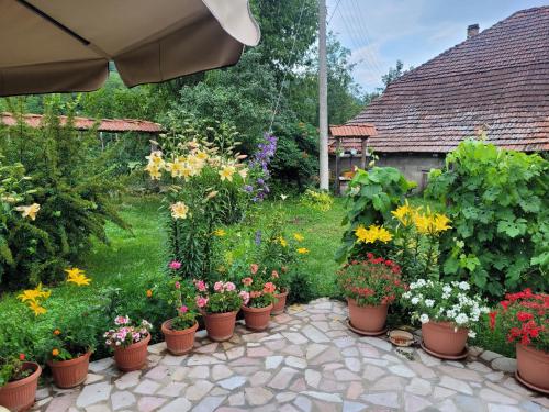 a garden filled with lots of flowers in pots at KUĆA OSMEHA KALNA in Kalna