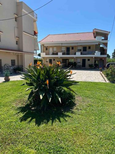 a plant in a yard in front of a building at Flo's Apartments in Mesolongion