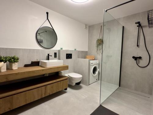 a bathroom with a sink toilet and a shower at La casa verde in Bled-Rečica