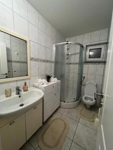 een badkamer met een wastafel, een douche en een toilet bij Stan na dan Jakov in Ljubuški