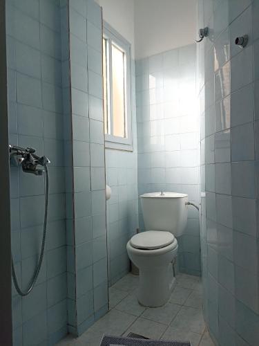 łazienka z toaletą i prysznicem w obiekcie Elite Hotel w Atenach