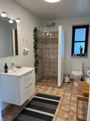 uma casa de banho com um chuveiro, um lavatório e um WC. em Driverhuset B&B em Grindsted