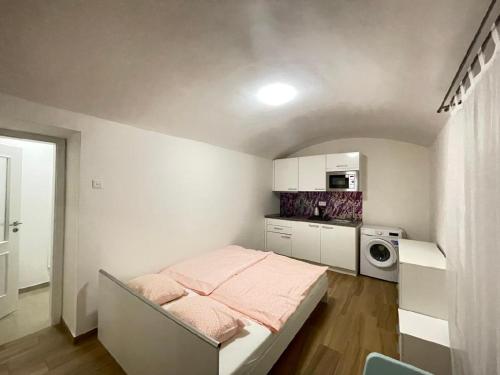 een kleine slaapkamer met een bed en een keuken bij Washingtonova apartment 006 in Praag