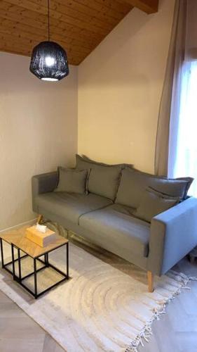 sala de estar con sofá y mesa en Appartement de montagne, en Bernex