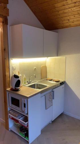 una pequeña cocina con fregadero y microondas en Appartement de montagne, en Bernex