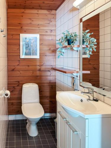 ユッラスヤルヴィにあるYlläs Chalets Luminaのトイレと洗面台付きのバスルーム