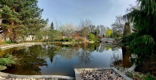 um lago num parque com uma ponte e árvores em DOM GOŚCINNY NAD JEZIOREM BIAŁYM em Gorzewo
