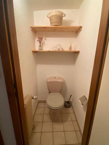 Elle comprend une petite salle de bains pourvue de toilettes et d'une étagère. dans l'établissement Appartement chaleureux vue sur centre historique, à Riquewihr