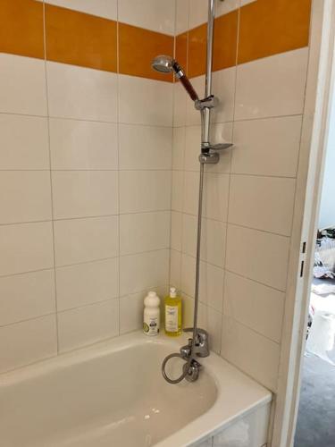 une salle de bain avec baignoire et douche dans l'établissement Le Cosy Euronord •Clim•Parking •, à Bruguières