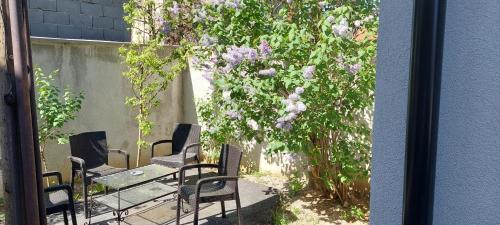 Сад в MB apartmani Sarajevo
