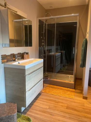 une salle de bain avec douche et lavabo dans l'établissement Welcome to the Jungle !, à Saint-Dizier