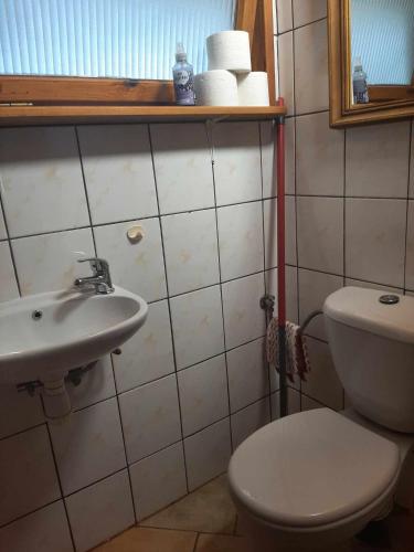 uma casa de banho com um WC e um lavatório em domek good vibes B em Gnieżdżewo