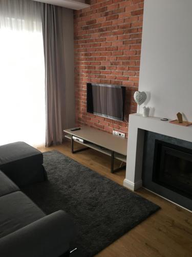 un salon avec une cheminée et une télévision dans l'établissement Poznan così, à Baranowo