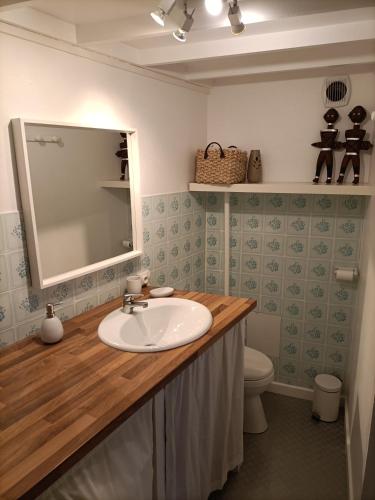 une salle de bain avec un lavabo et un miroir et des toilettes dans l'établissement Résidence de Charme TIVOLI, à Arcachon