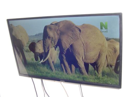 une télévision avec une photo d'un troupeau d'éléphants dans l'établissement Tanzanit, à Štúrovo