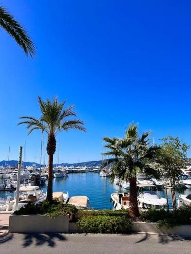 - une vue sur un port de plaisance avec des palmiers et des bateaux dans l'établissement Studio palais des festivals Croisette, à Cannes
