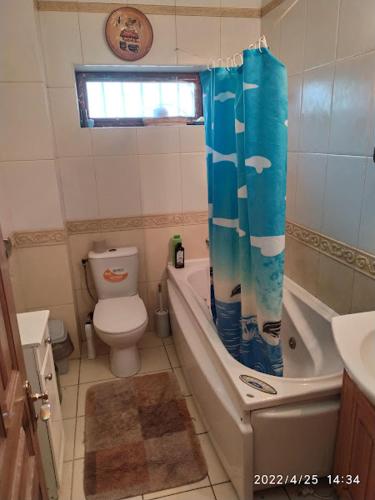 Un baño de Приватний Будинок з Каміном, у Центрі Міста , вул Стрєльцова, 21