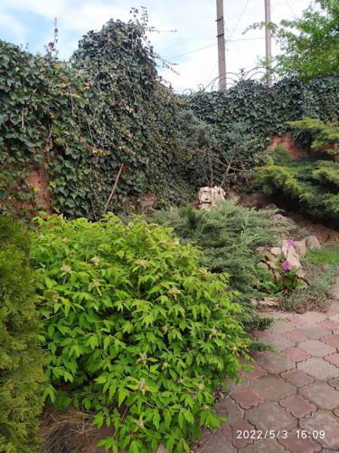 Jardín al aire libre en Приватний Будинок з Каміном, у Центрі Міста , вул Стрєльцова, 21