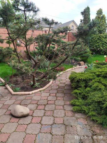 Jardín al aire libre en Приватний Будинок з Каміном, у Центрі Міста , вул Стрєльцова, 21