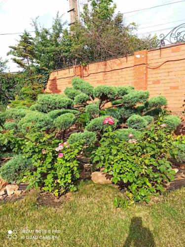 Jardín al aire libre en Приватний Будинок з Каміном, у Центрі Міста , вул Стрєльцова, 21