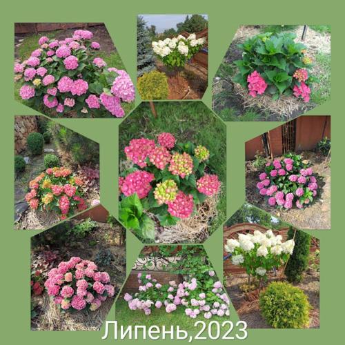 Jardín al aire libre en Приватний Будинок з Каміном, у Центрі Міста , вул Стрєльцова, 21