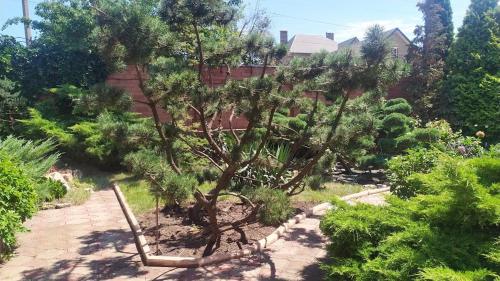 Jardín al aire libre en Приватний Будинок з Каміном, у Центрі Міста , вул Стрєльцова, 21