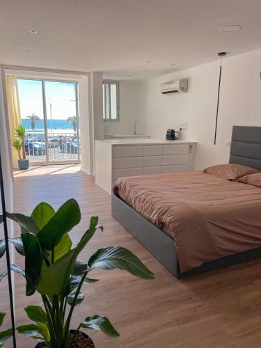 a bedroom with a bed and a kitchen and a plant at Superbe, face à la mer, balneo, rétroprojecteur in Canet-en-Roussillon