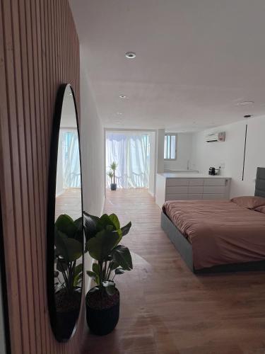 - une chambre avec un lit, un miroir et une plante dans l'établissement Superbe, face à la mer, balneo, rétroprojecteur, à Canet