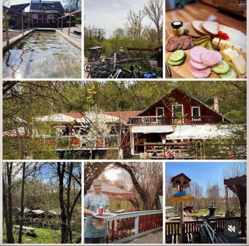 un collage de fotos de diferentes casas y un hombre en Pilgerzimmer, en Bad Langensalza