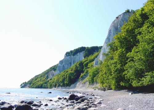 a beach with rocks and trees next to the water at Villa Granitz Appartement FeWo 21 in Göhren - nur paar Schritte bis zum Strand in Göhren