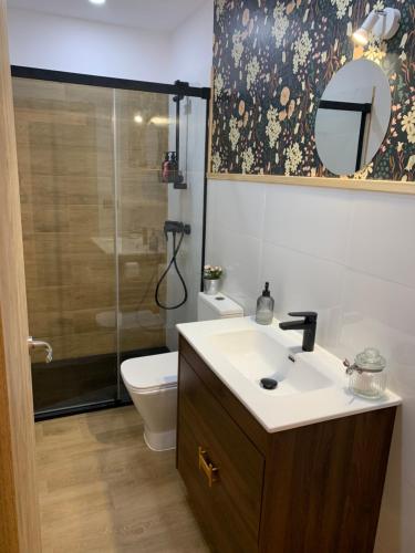 a bathroom with a sink and a toilet and a mirror at Apartamentos Talao in San Esteban de Pravia