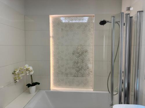 y baño con ducha y ventana de cristal. en Apartament Top of the Top Rezydencja Metropolis, en Bydgoszcz