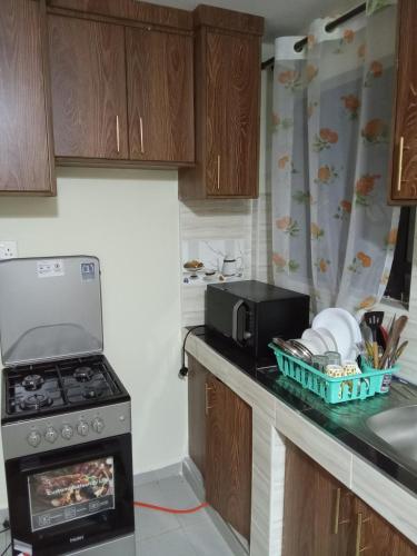 a small kitchen with a stove and a sink at Tuck Inn in Ngong