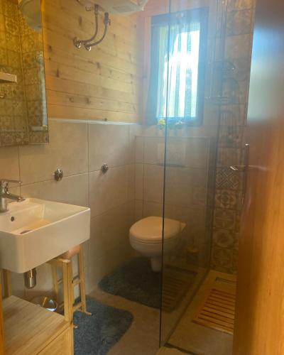 a bathroom with a toilet and a sink at Puhova Koliba in Delnice