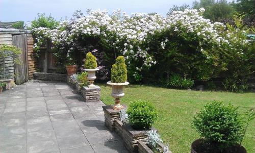 um jardim com flores brancas num quintal em No.9 em Tettenhall