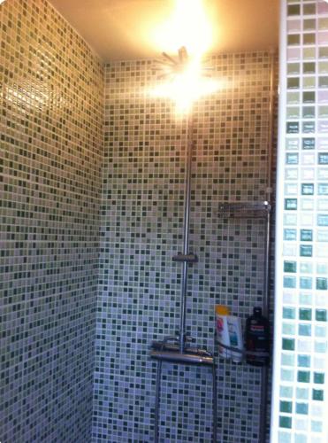 La salle de bains est pourvue d'une douche et d'un ventilateur de plafond. dans l'établissement Maison avec piscine et grande terrasse -Sud Landes, à Tosse