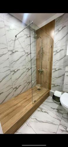 een badkamer met een douche, een wastafel en een toilet bij Квартира in Pavlodar