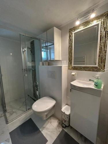a bathroom with a toilet and a shower and a sink at Apartment Harmony in Graz