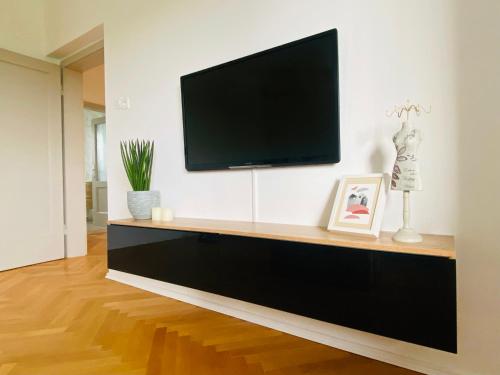 TV a/nebo společenská místnost v ubytování Apartma Srečko, Sežana