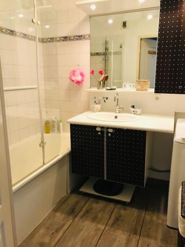 une salle de bain avec un lavabo, une douche et un miroir dans l'établissement Appartement jardin privatif, à Asnières-sur-Seine