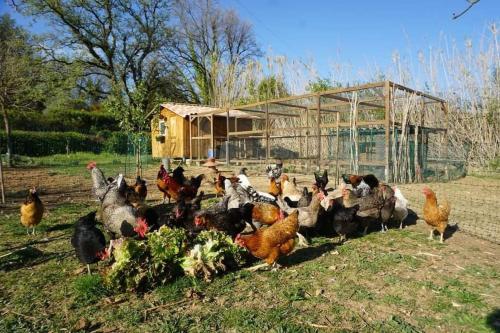 Photo de la galerie de l'établissement Appartement avec piscine, à Villecroze