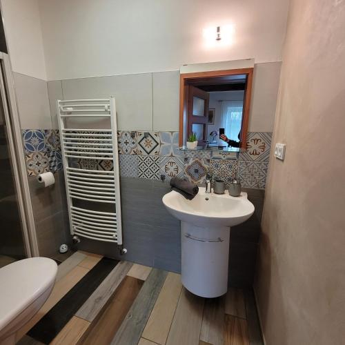 a bathroom with a sink and a toilet and a mirror at Chloumek in Bělá