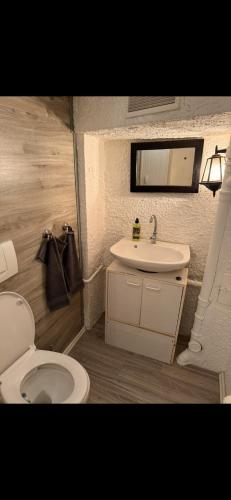 uma casa de banho com um WC e um lavatório em Kellerwohnung inklusive Sauna für 2 em Recklinghausen