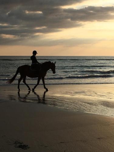 een persoon op een paard op het strand bij L’ERMITAGE DE KERGUEN in Saint-Jean-Trolimon