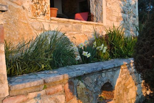 Un jardín fuera de Amaryllis Luxury Suite