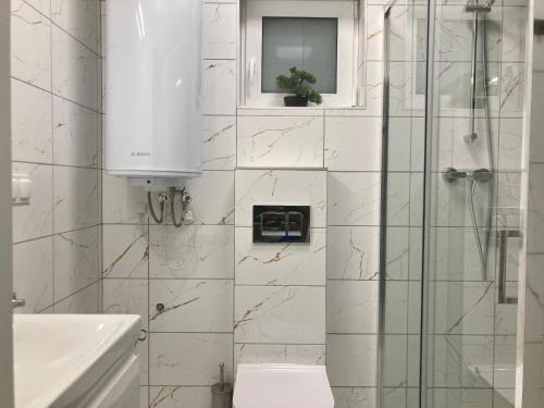 W łazience znajduje się prysznic, toaleta i umywalka. w obiekcie Sun Club - Modern Houses Mielno - Mielenko w mieście Mielno