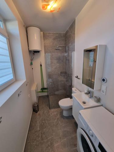 een badkamer met een douche, een toilet en een wastafel bij Kotedžai Ąžuolo Istorija 9 in Palanga