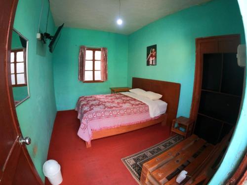1 dormitorio con 1 cama con paredes verdes en Hostel Fuentes, en Arequipa